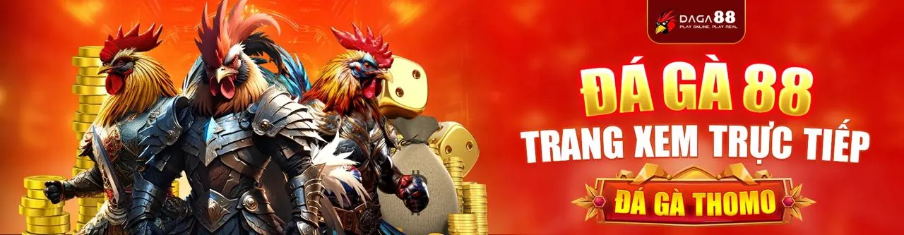 Đá Gà 11bet Trực Tiếp Hấp Dẫn