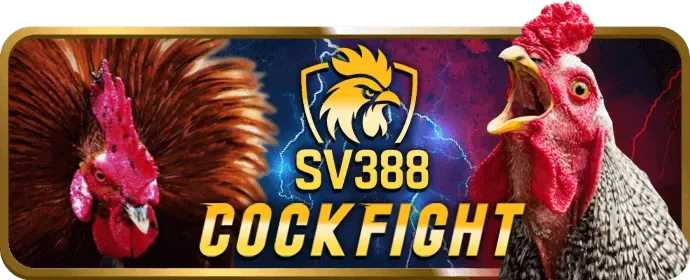 Hoàn trả hàng tuần cho game bài 11bet